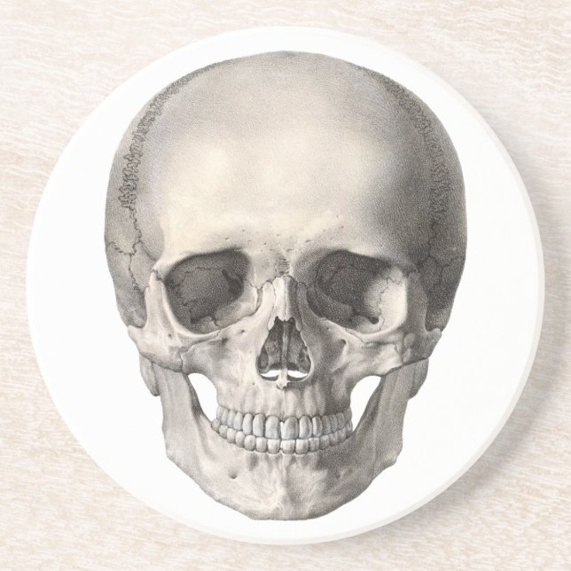 Vintage Human Anatomy Skull, Halloween Skeleton Sandstone Coaster (Front)