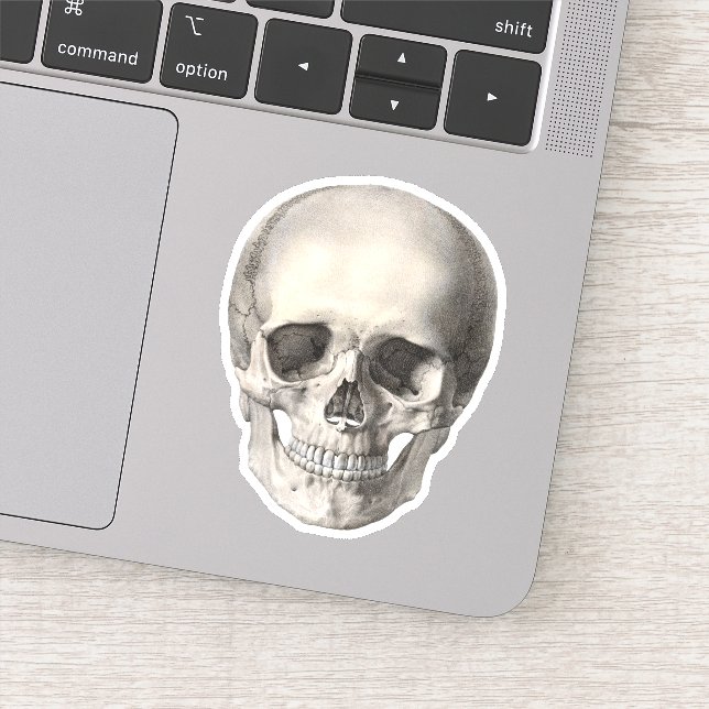 Vintage Human Anatomy Skull, Halloween Skeleton Sticker (Detail)