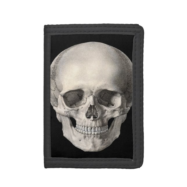 Vintage Human Anatomy Skull, Halloween Skeleton Trifold Wallet (Front Vertical)