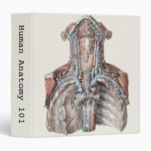 Vintage Human Anatomy Throat, Neck, Chest, Ribs 3 Ring Binder