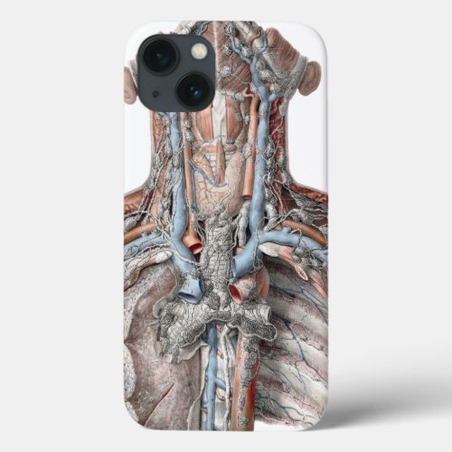 Vintage Human Anatomy Throat Neck Chest Ribs iPhone 13 Case