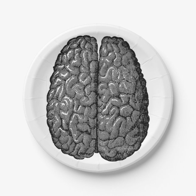 Vintage Human Brain Illustration Paper Plates (Front)