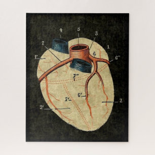 Vintage Human Heart Diagram Jigsaw Puzzle