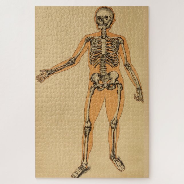 Vintage Human Skeleton Illustration (1887) Jigsaw Puzzle (Vertical)