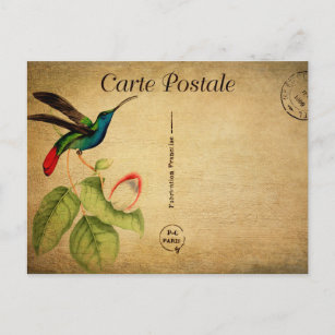 Vintage Humming Bird Floral Flowers French Postcard