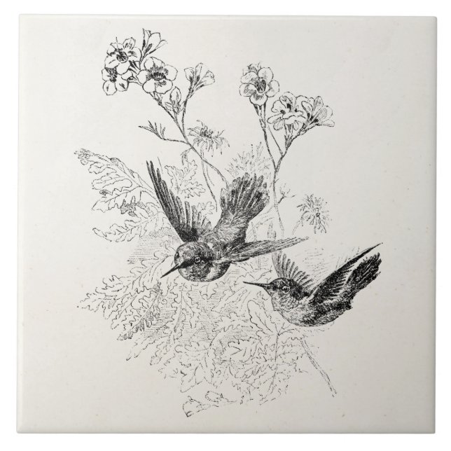 Vintage Hummingbird Antique Birds Template Tile (Front)