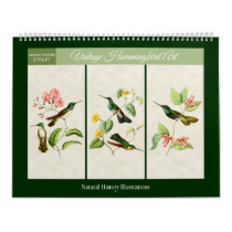 Vintage Hummingbird Art 2024 Calendar
