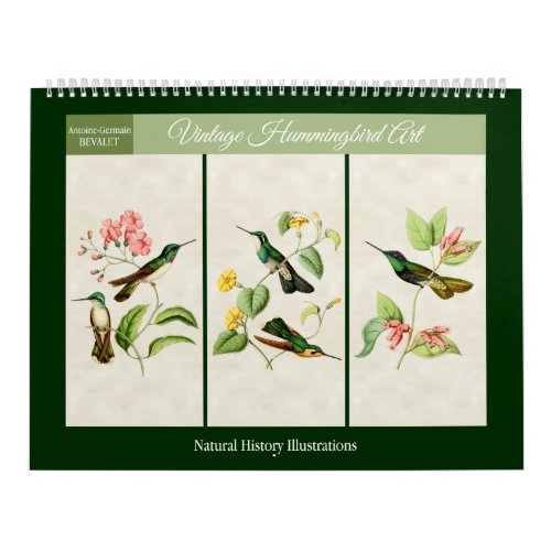 Vintage Hummingbird Art 2024 Calendar