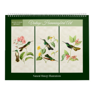 Vintage Hummingbird Art 2027 Calendar
