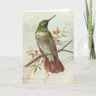 Vintage Hummingbird, Birthday Card