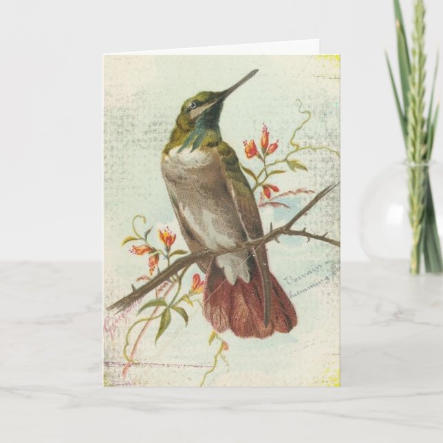 Vintage Hummingbird, Birthday Card (Front)