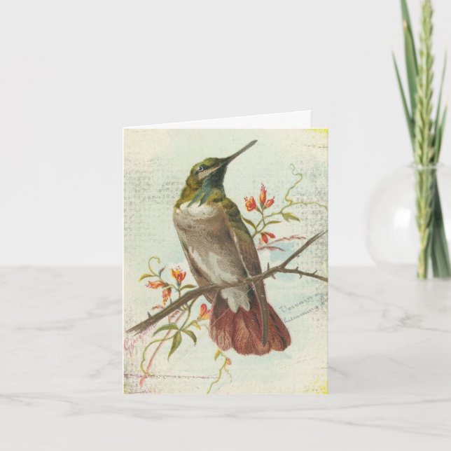 Vintage Hummingbird, Birthday Card (Front)