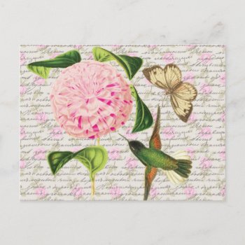 Vintage Hummingbird Butterfly And Caryophyllus Postcard by jardinsecret at Zazzle