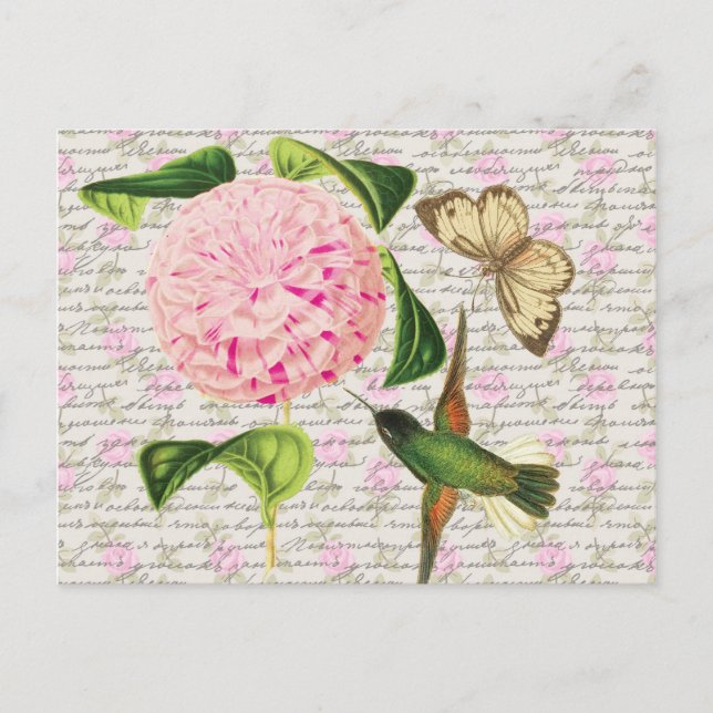 Vintage Hummingbird Butterfly and Caryophyllus Postcard (Front)