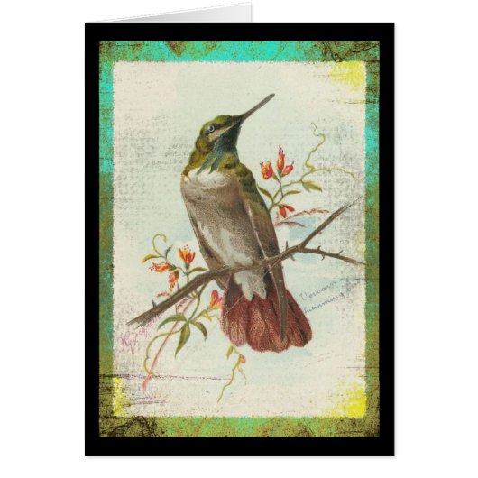 Vintage Hummingbird Cards (Front)