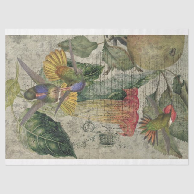 Vintage Hummingbird Collage-Tissue Paper (Front)
