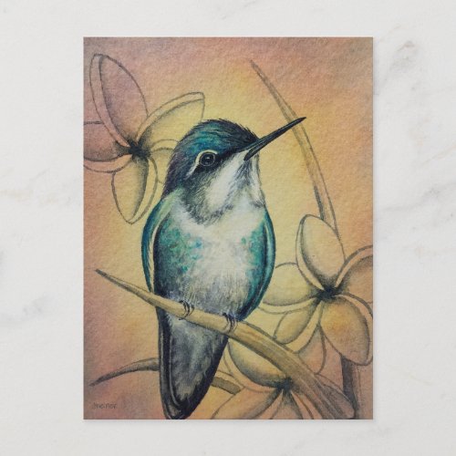 Vintage Hummingbird No 3 Watercolor Art Postcard