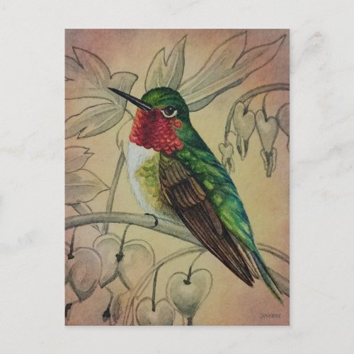 Vintage Hummingbird No 4 Watercolor Art Postcard