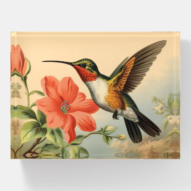 Vintage Hummingbird Paperweight (Front)