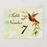 Vintage Hummingbird Table Number Card at Zazzle
