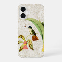 Vintage Hummingbird with Orchid