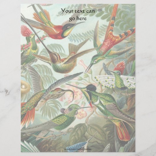 Vintage Hummingbirds (Front)