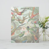 Vintage Hummingbirds (Standing Front)