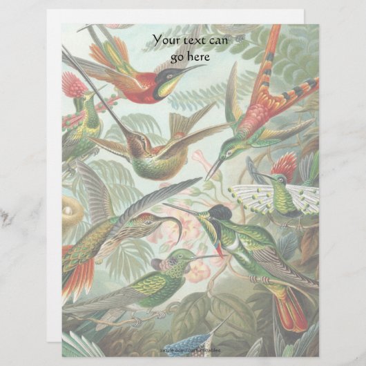 Vintage Hummingbirds (Front/Back)