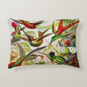 Vintage Hummingbirds by Ernst Haeckel Accent Pillow