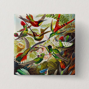 Vintage Hummingbirds by Ernst Haeckel Button