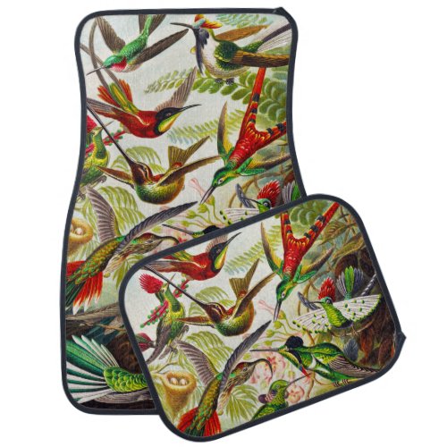 Vintage Hummingbirds by Ernst Haeckel Car Floor Mat