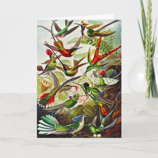 Vintage Hummingbirds by Ernst Haeckel Card (Front)
