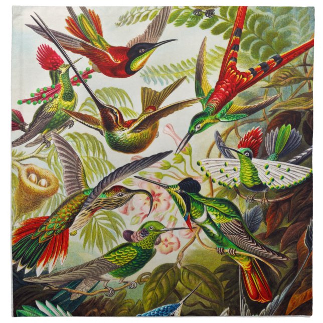 Vintage Hummingbirds by Ernst Haeckel Cloth Napkin (Front)