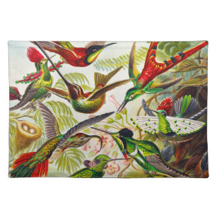 Vintage Hummingbirds by Ernst Haeckel Cloth Placemat