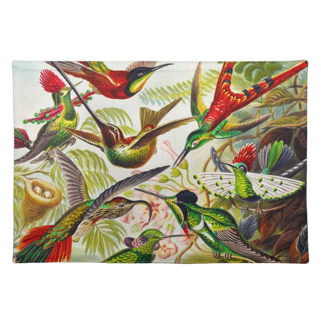 Vintage Hummingbirds by Ernst Haeckel Cloth Placemat (Front)