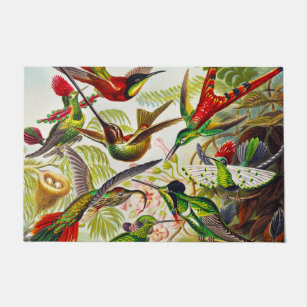 Vintage Hummingbirds by Ernst Haeckel Doormat