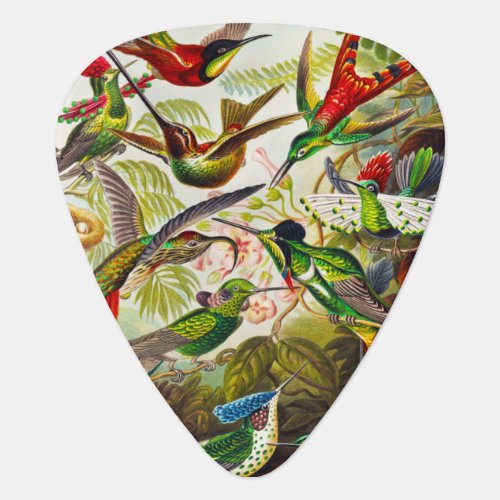 Vintage Hummingbirds by Ernst Haeckel Guitar Pick