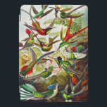 Vintage Hummingbirds by Ernst Haeckel iPad Pro Cover<br><div class="desc">Hummingbirds by Ernst Haeckel.Vintage Trochilidae Kolibris illustration. This is from Kunstformen der Natur (1904). This birds illustration shows beautiful colorful flying hummingbirds.</div>