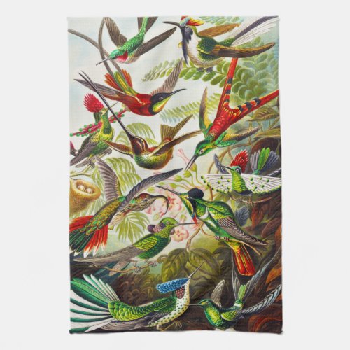 Vintage Hummingbirds by Ernst Haeckel Kitchen Towel