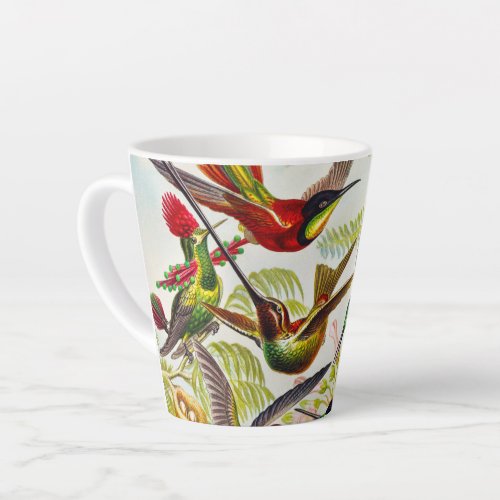 Vintage Hummingbirds by Ernst Haeckel Latte Mug