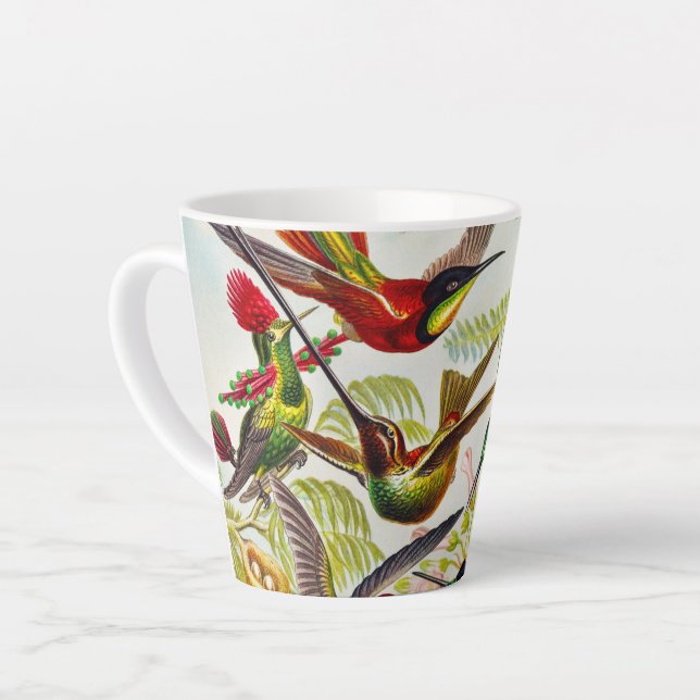 Vintage Hummingbirds by Ernst Haeckel Latte Mug (Left Angle)