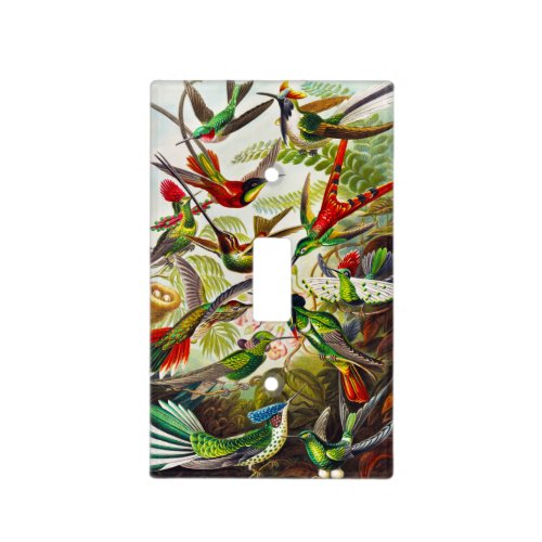 Vintage Hummingbirds by Ernst Haeckel Light Switch Cover