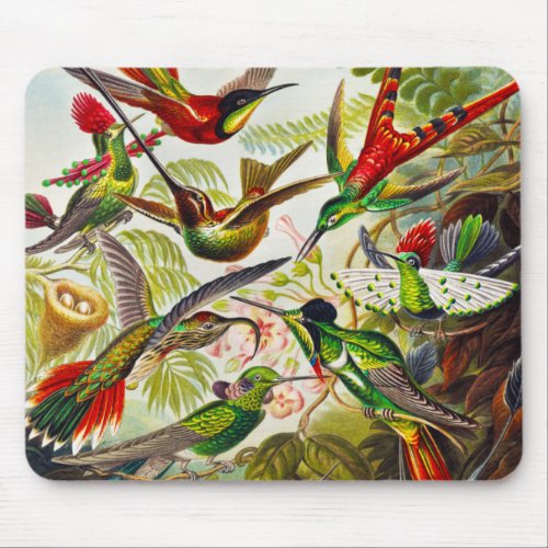 Vintage Hummingbirds by Ernst Haeckel Mouse Pad