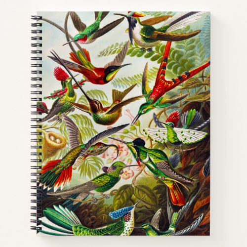 Vintage Hummingbirds by Ernst Haeckel Notebook