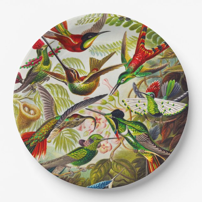 Vintage Hummingbirds by Ernst Haeckel Paper Plates (Front)