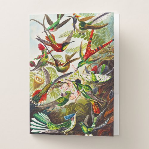 Vintage Hummingbirds by Ernst Haeckel Pocket Folder