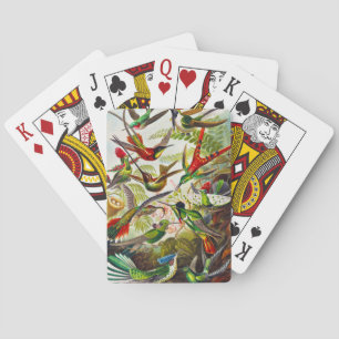 Vintage Hummingbirds by Ernst Haeckel Poker Cards