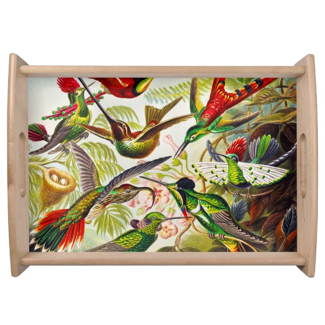 Vintage Hummingbirds by Ernst Haeckel Serving Tray (Front)