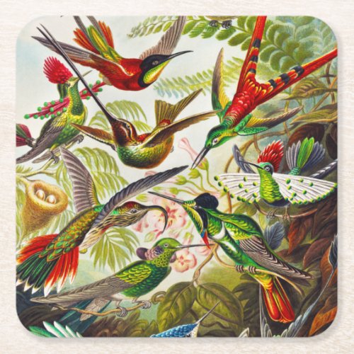 Vintage Hummingbirds by Ernst Haeckel Square Paper Coaster