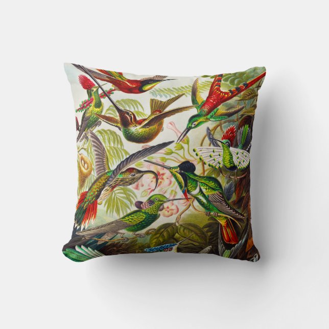 Vintage Hummingbirds by Ernst Haeckel Throw Pillow (Front)
